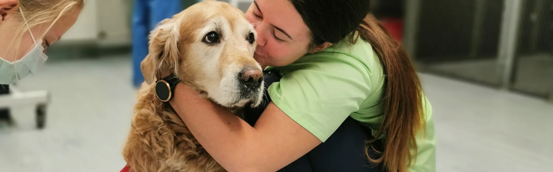 Kliinilise veterinaarmeditsiini õppetooli näidisleht