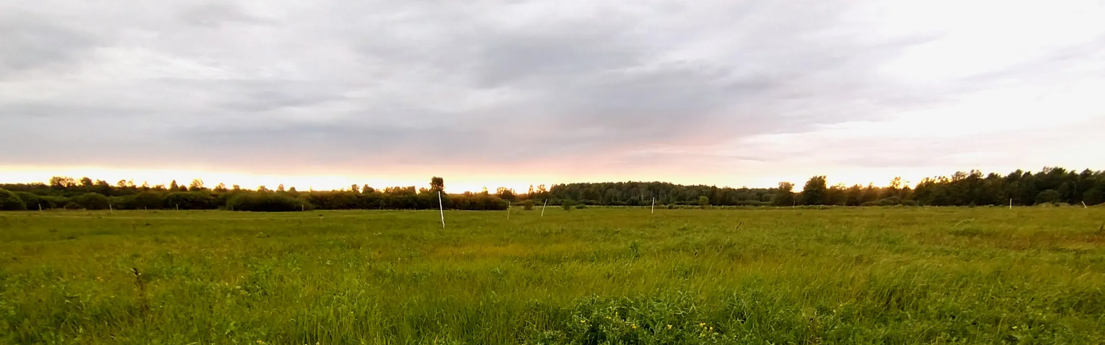 Päikeseloojangus karjamaa