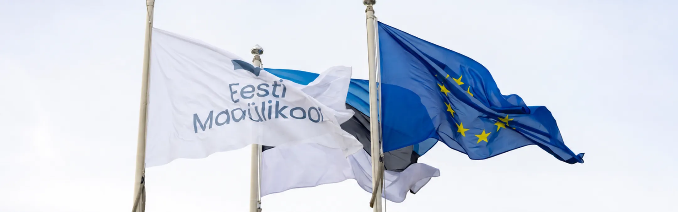 maaülikooli lipp