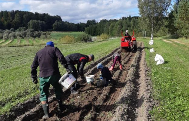 Inimesed võtavad kartulit