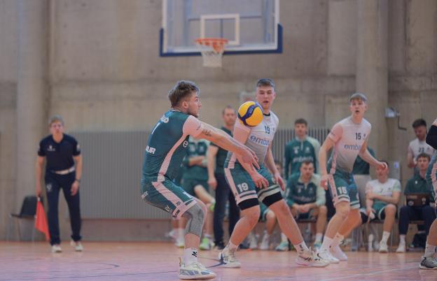 võrkpall 