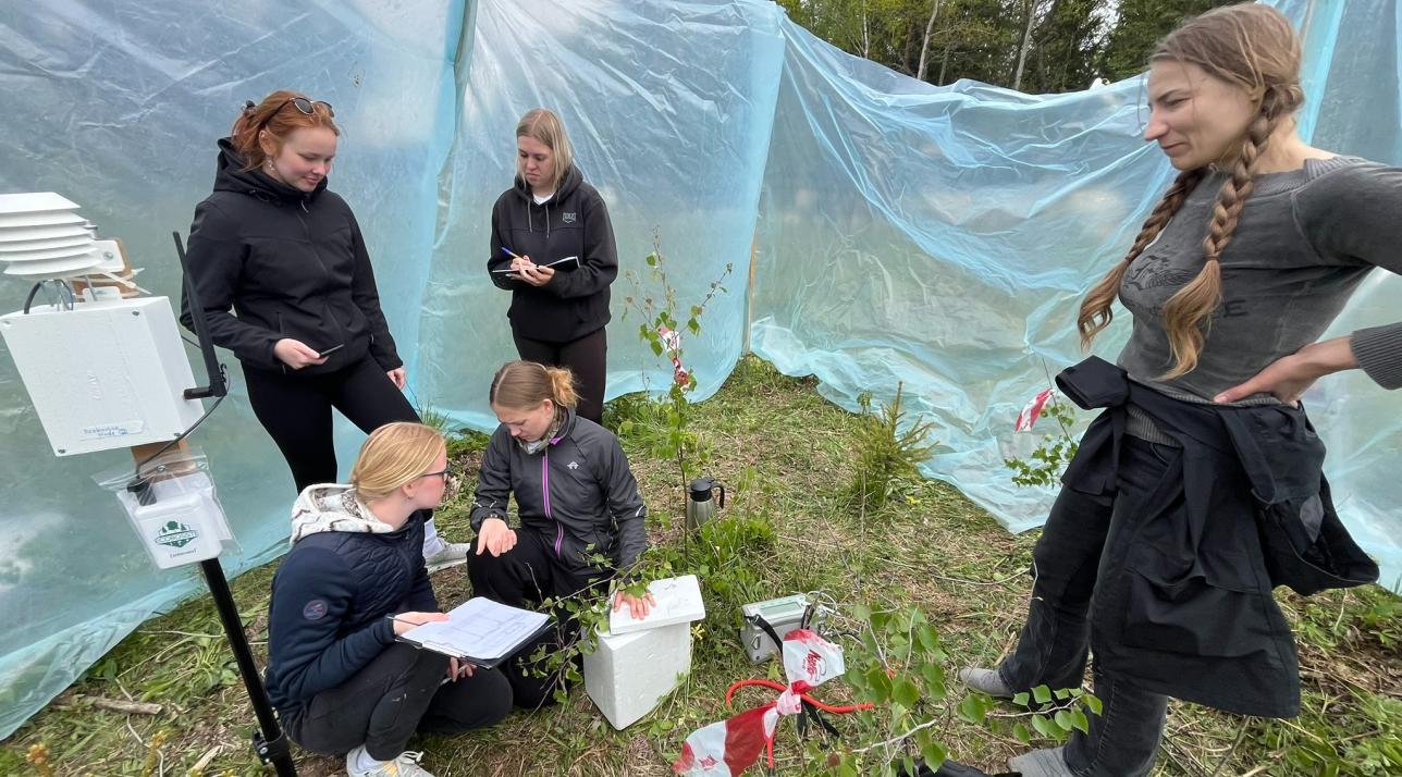 Saaremaa Gümnaasiumi õpilased metsas