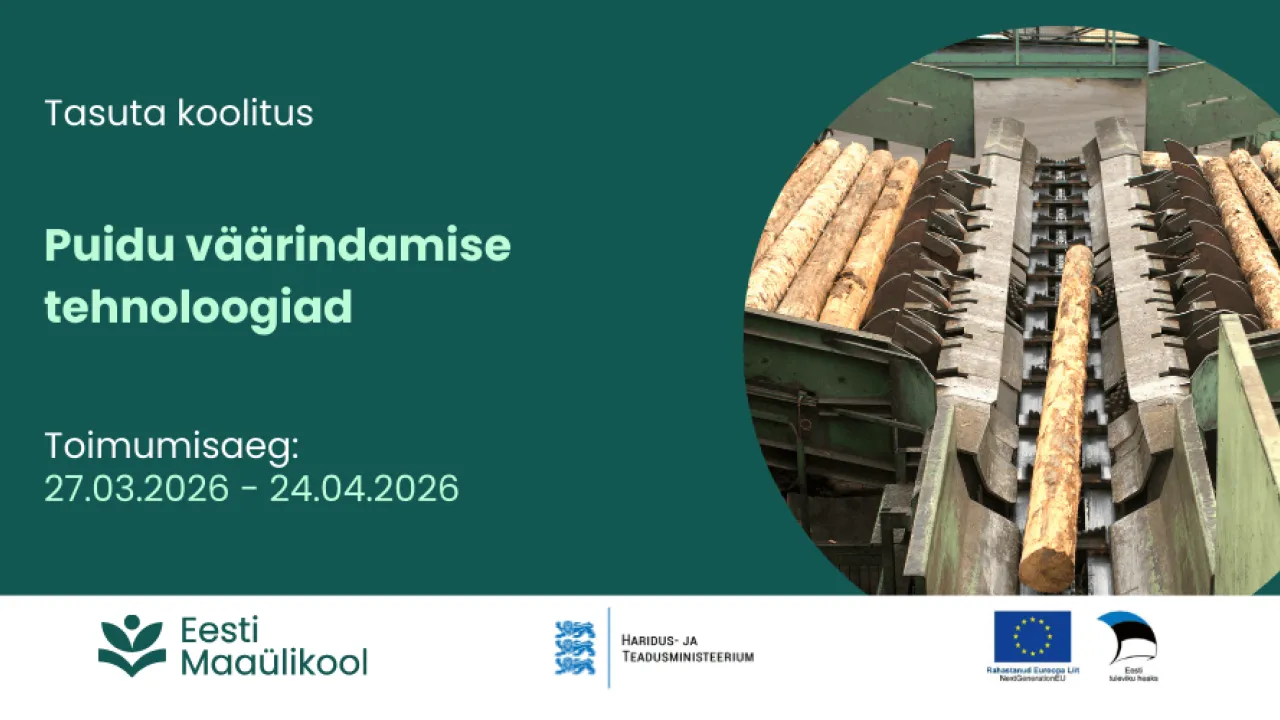 Puidu väärindamine