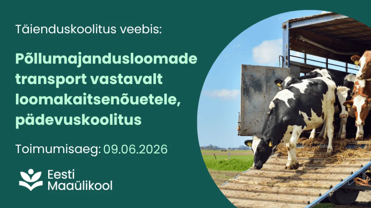 Põllumajandusloomade transport 9.juuni