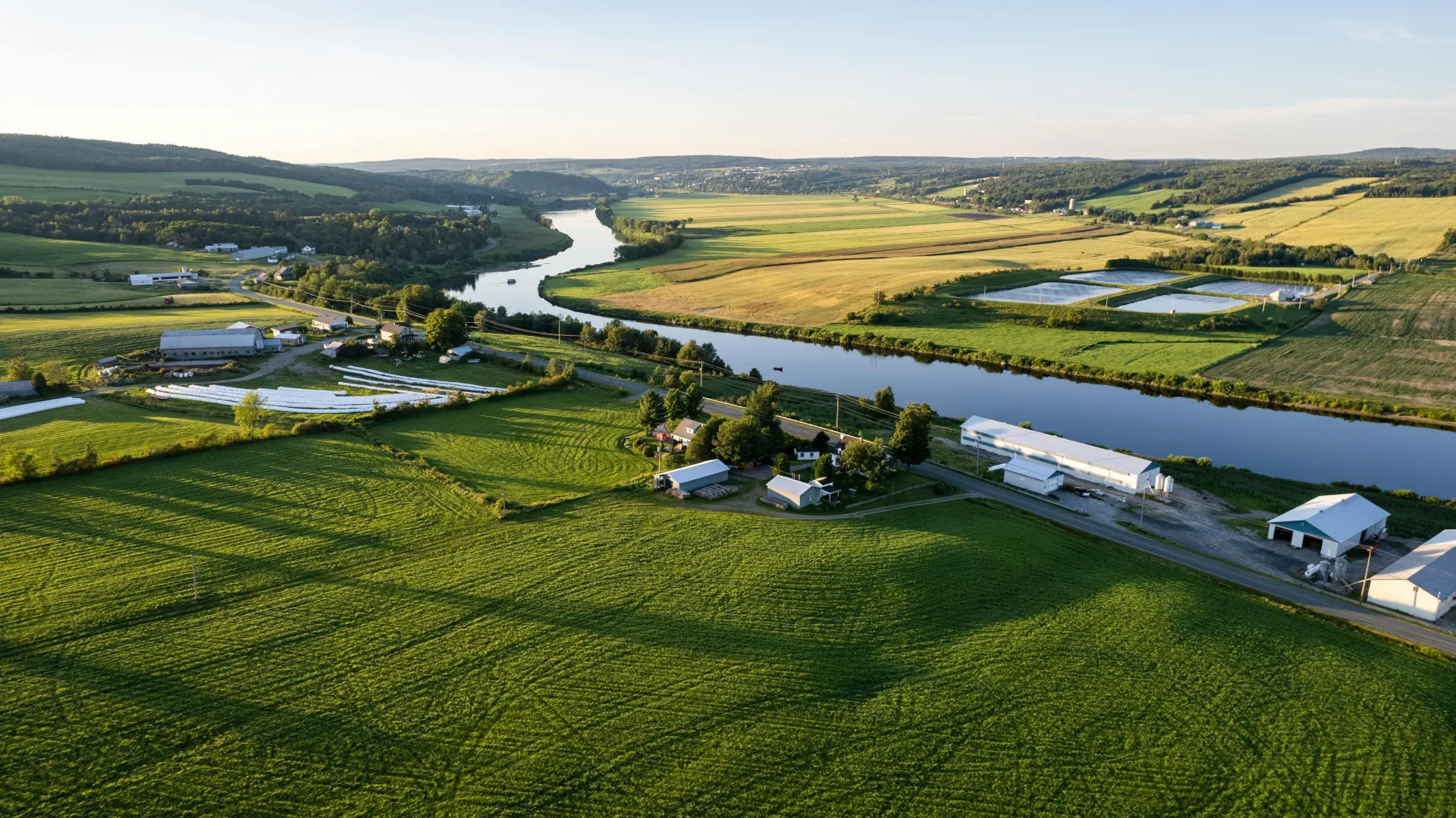 Summer countryside