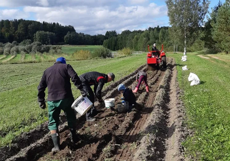 Inimesed võtavad kartulit