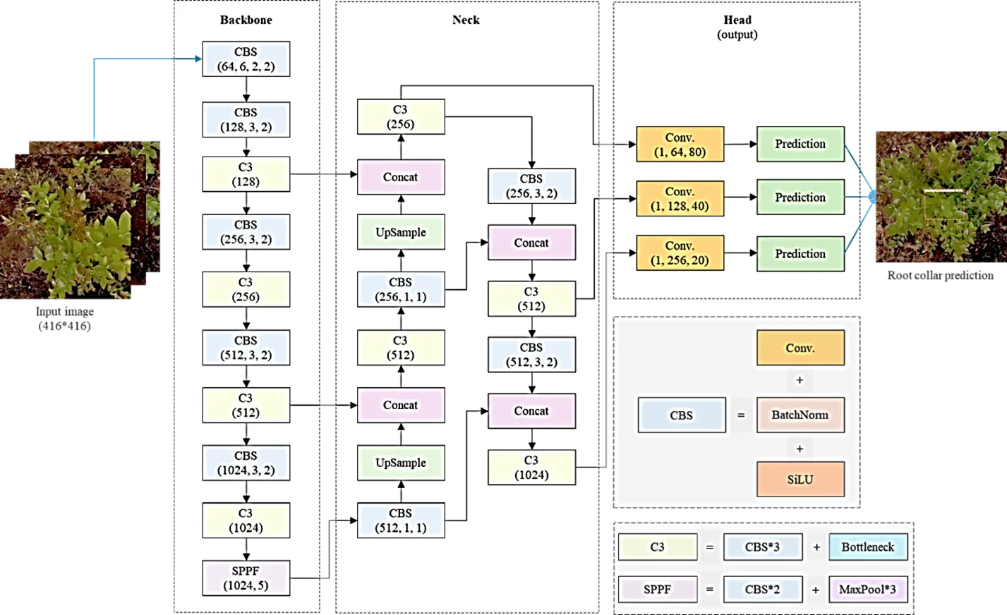 Plant detection model (Zaman et al., 2024)