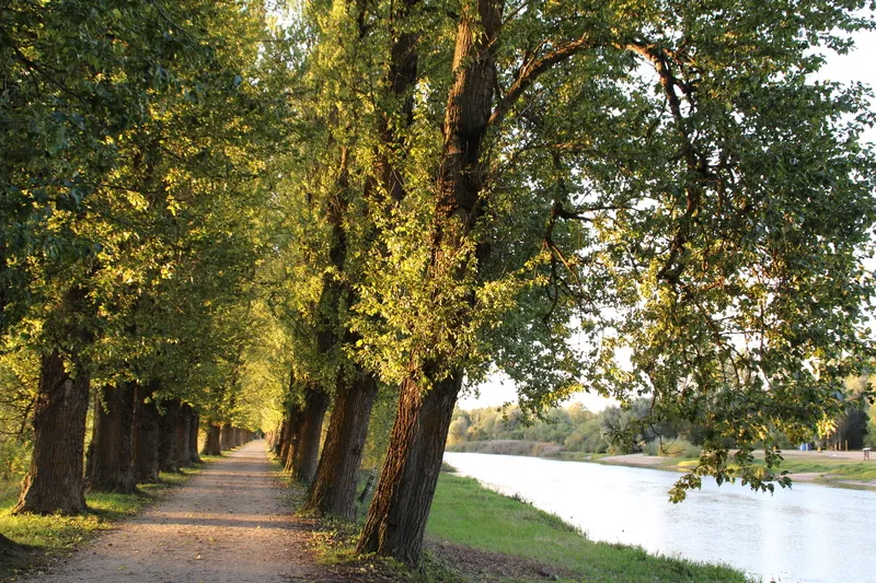 Emajõe allee