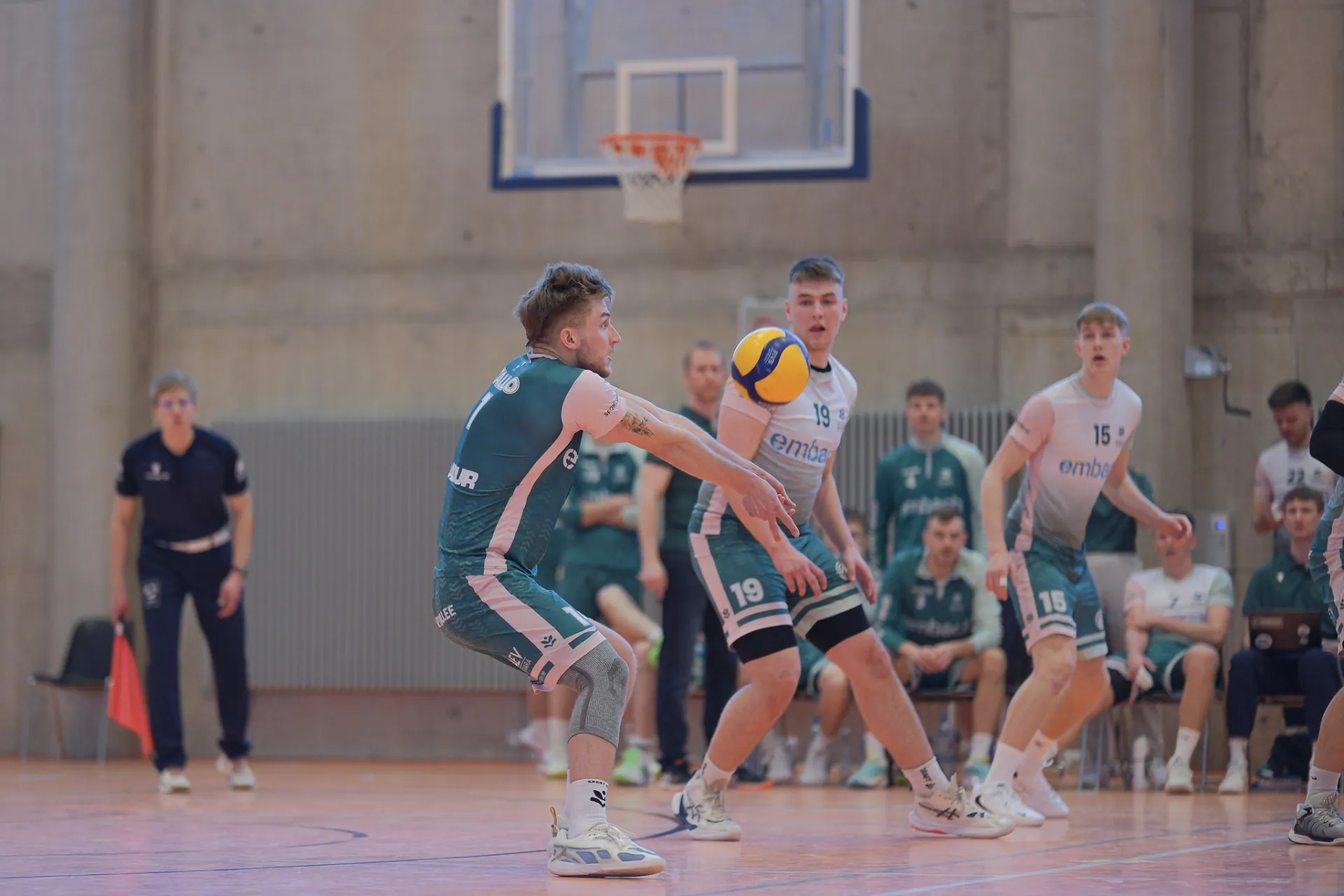 võrkpall 
