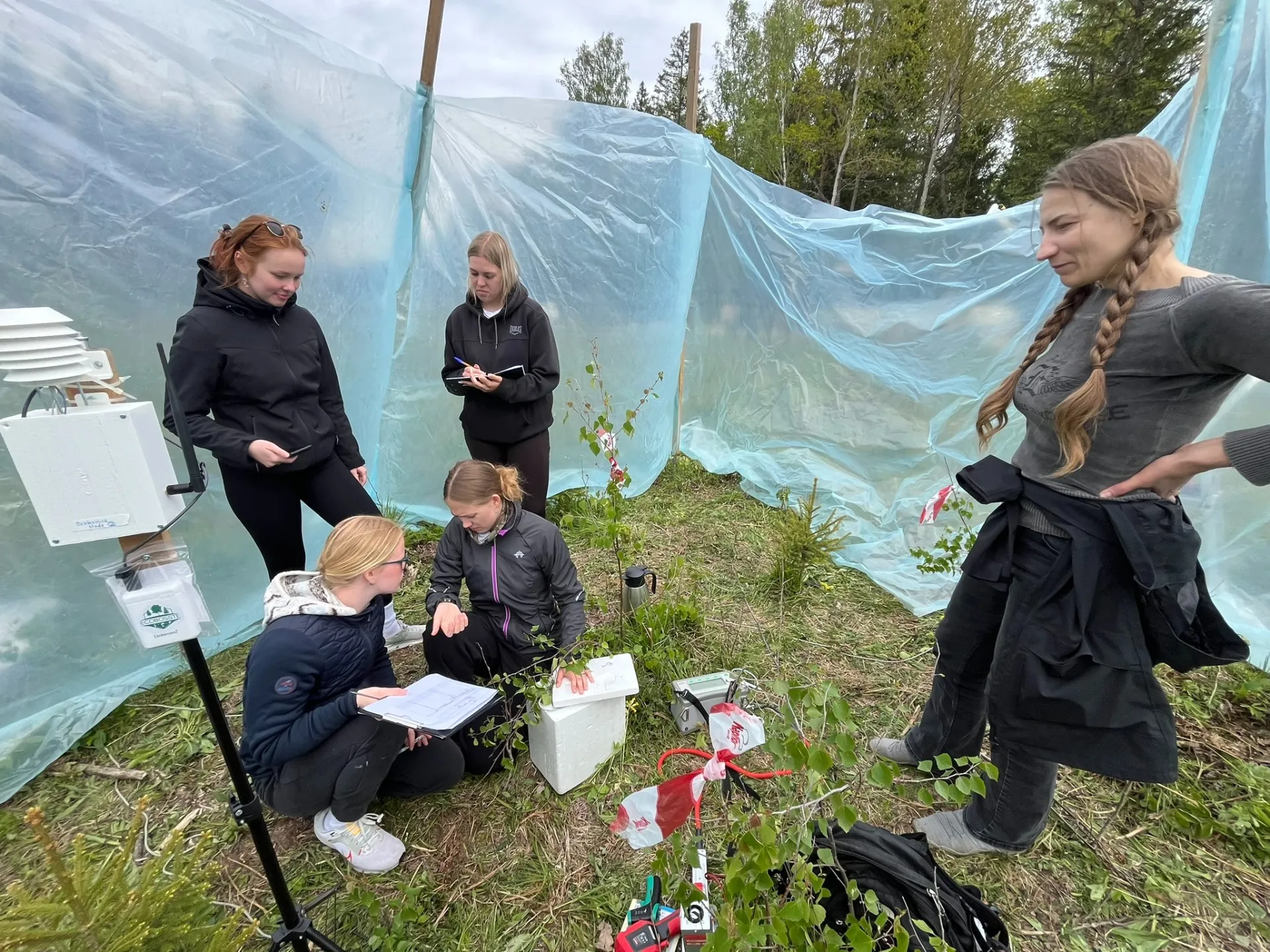 Saaremaa Gümnaasiumi õpilased metsas
