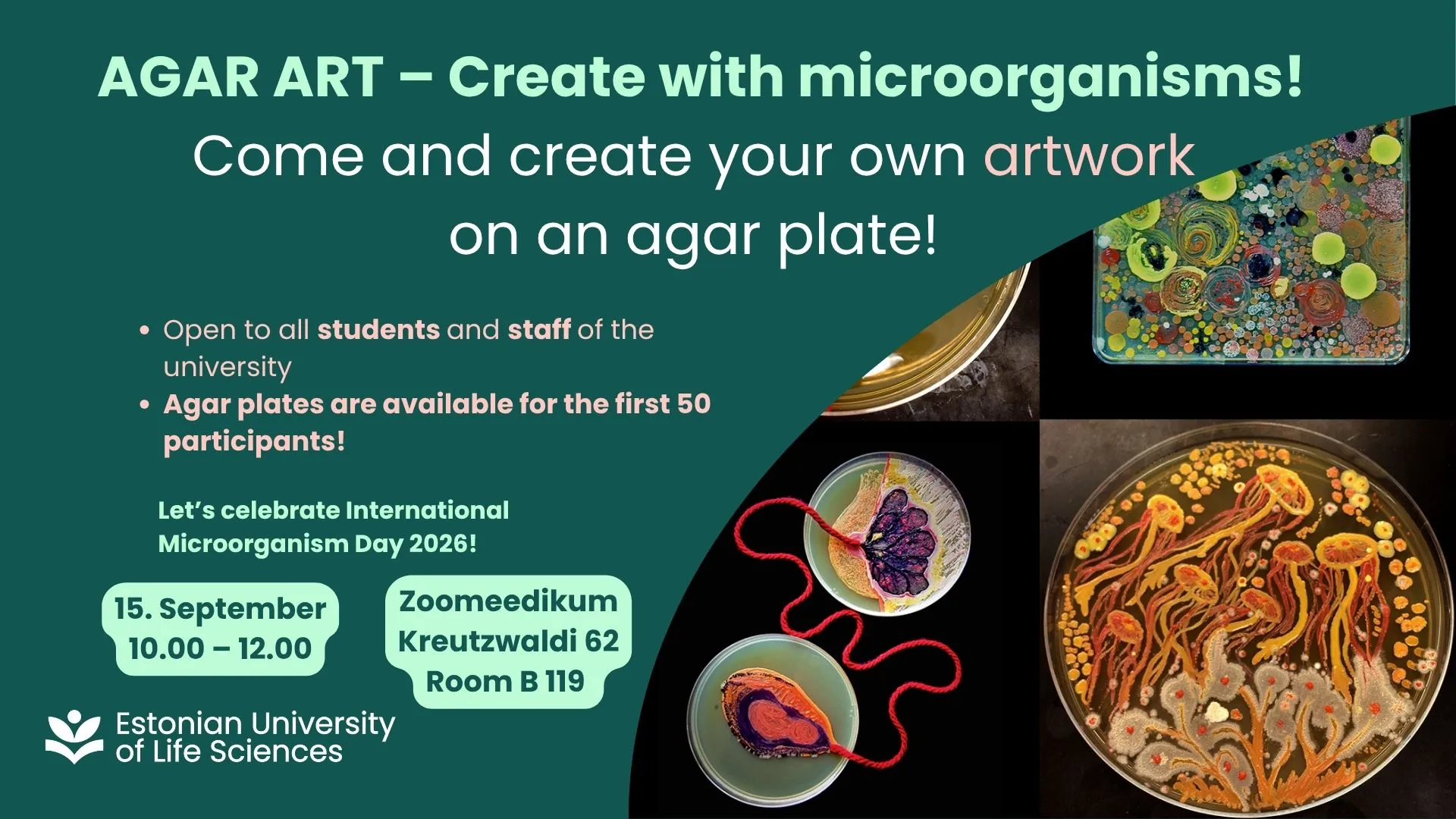 Agar Art new ENG
