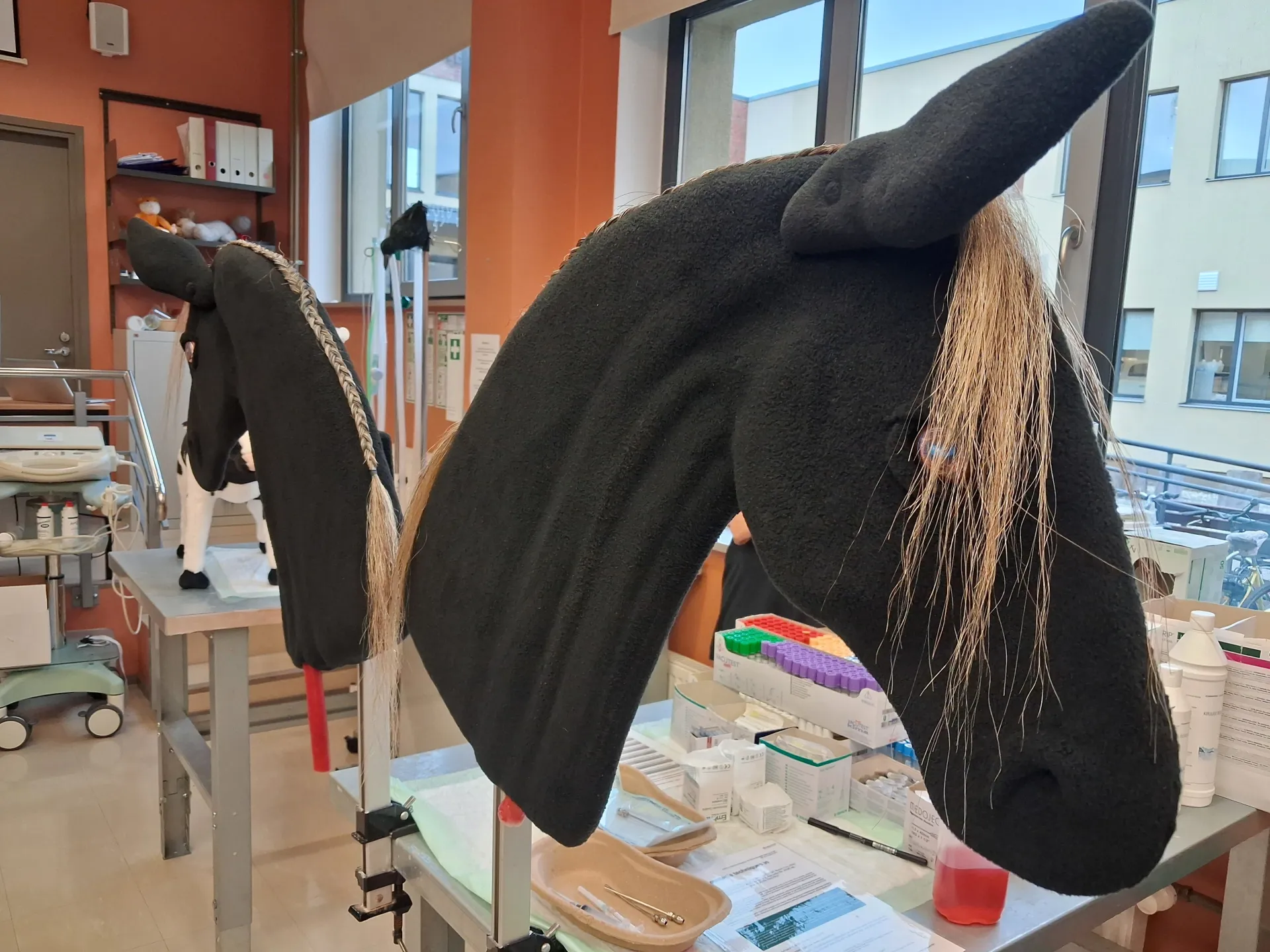 Kliiniliste oskuste õpituba 9