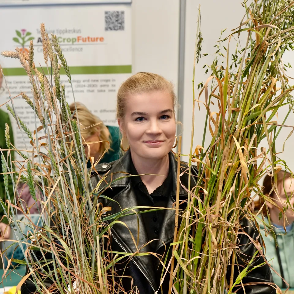 Neiu vaatab viljapeade vahelt kaamerasse