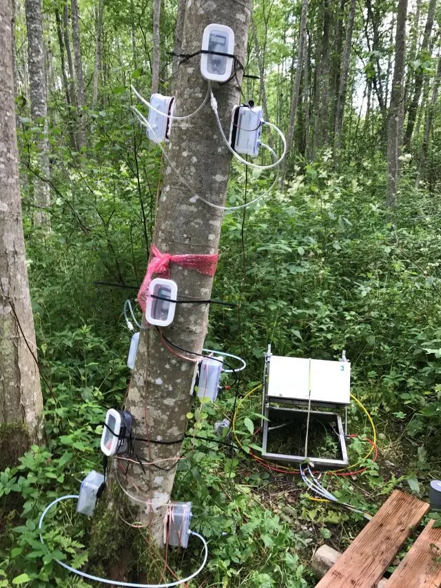 Gas-exchange measurments