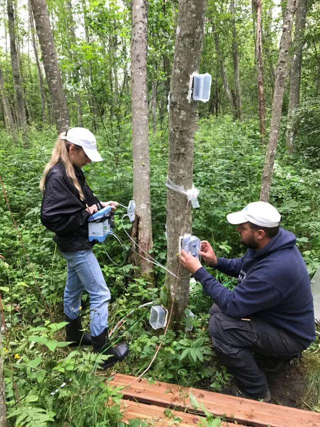 Iuliia and Thomas measuremng gas-exchange from stem