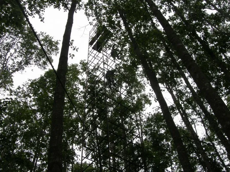 Tower for measurements above the canopy