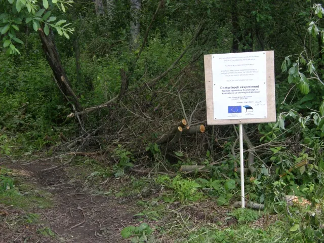 The experiment site