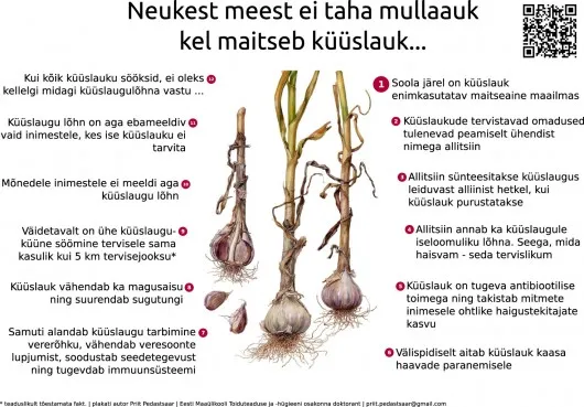 Plakatikonkurss