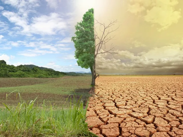kristin_sovhealth_viral_global_warming_mental_health